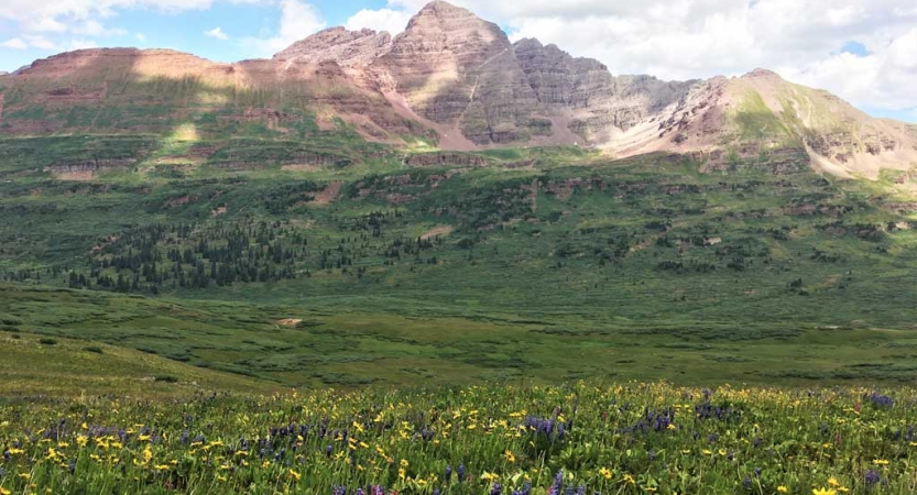 A vast green open area is dotted with wildflowers in front of a rocky mountain